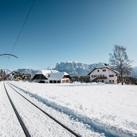 Alpin Farm Birke - Oberweidacherhof Collalbo Exterior foto