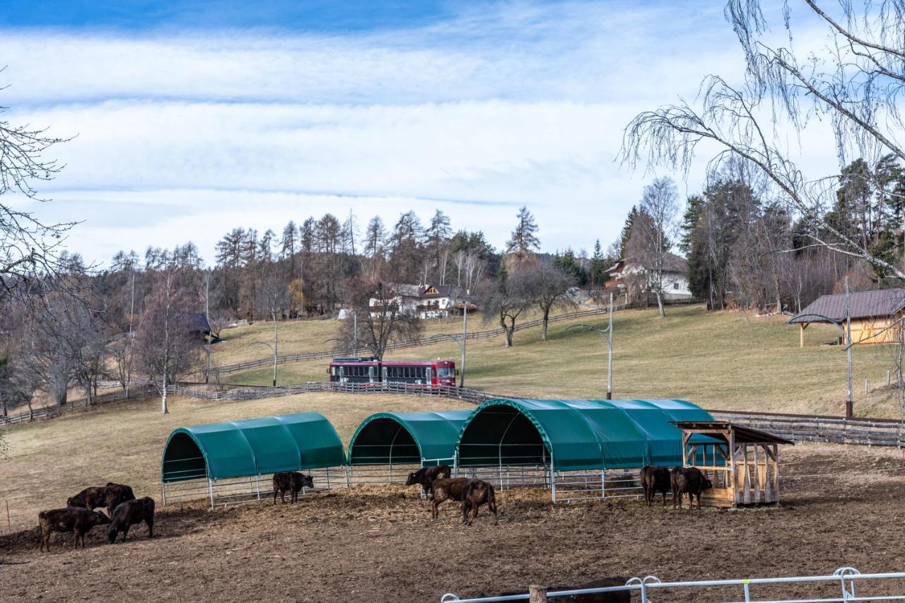Alpin Farm Birke - Oberweidacherhof Collalbo Exterior foto