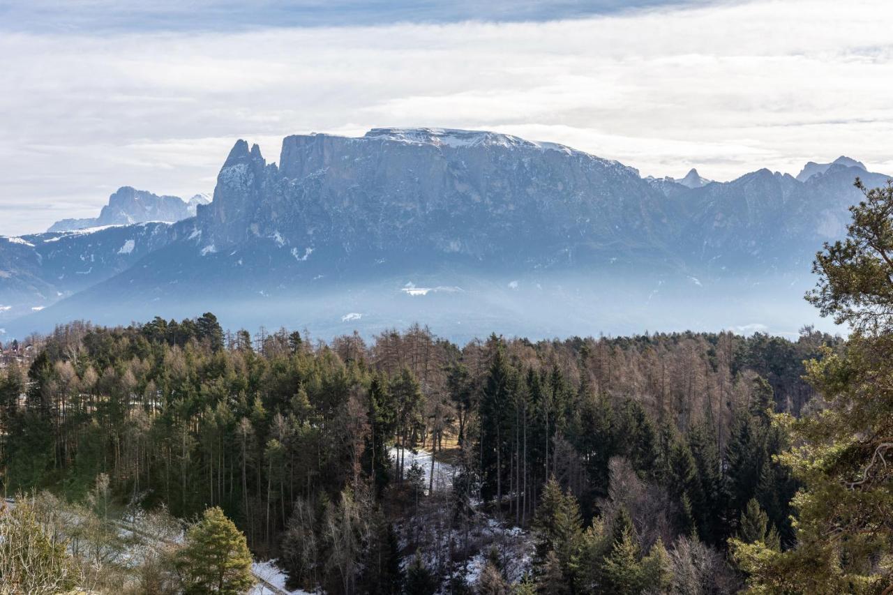 Alpin Farm Birke - Oberweidacherhof Collalbo Exterior foto
