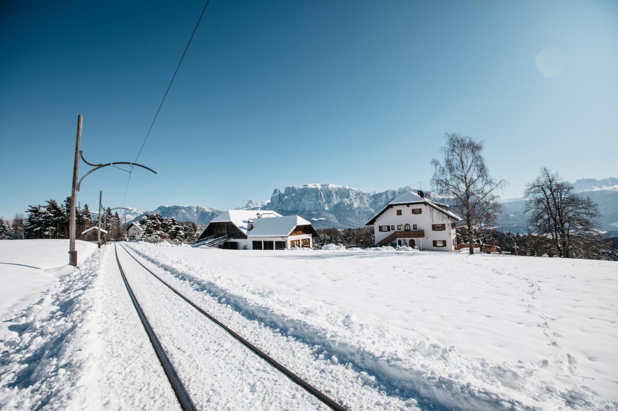 Alpin Farm Birke - Oberweidacherhof Collalbo Exterior foto